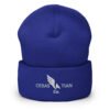 Winged Crest Cuffed Beanie