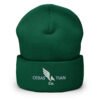 Winged Crest Cuffed Beanie